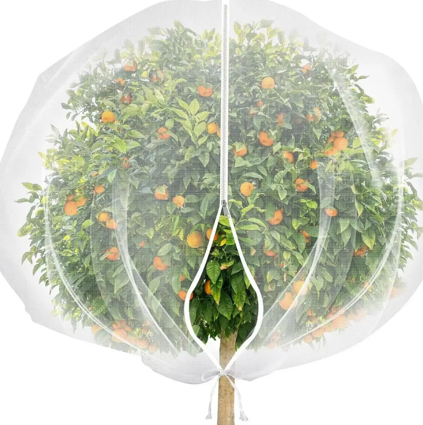 Ochranné síťové sáčky na stromy