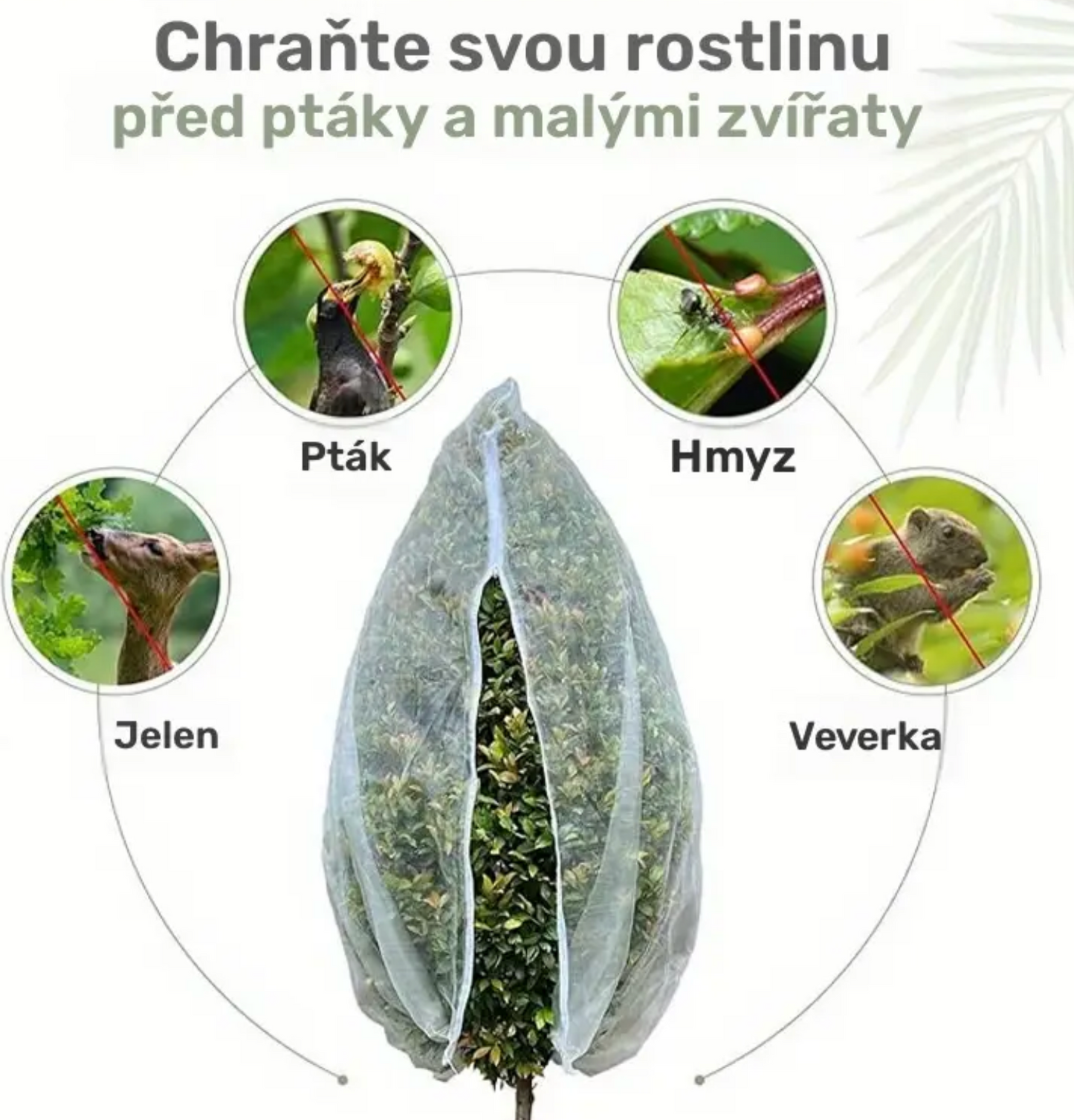 Ochranné síťové sáčky na stromy